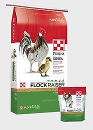 Purina Flock Raiser Crumble
