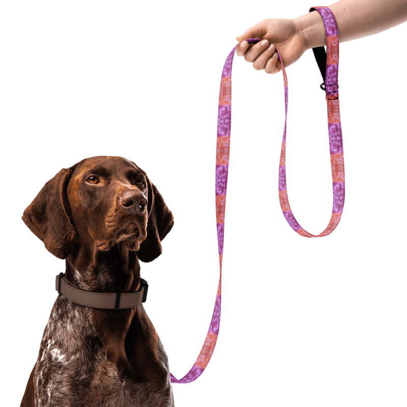 Thumbnail: Pet Leash - RC Print