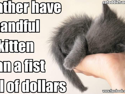 SCAT FUN(d) Raiser!