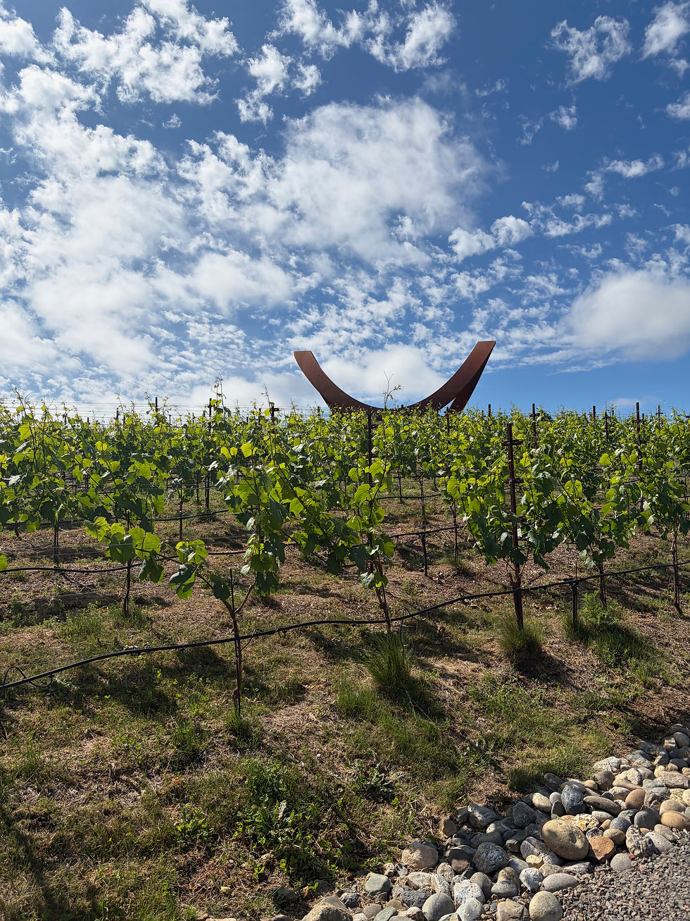 Sculptural art gracefully rises amidst vibrant vineyard rows near Halehouse.