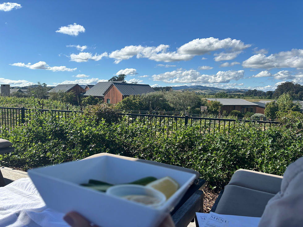Enjoying a serene view while dining, with expansive countryside and a glimpse of picturesque buildings under a clear blue sky.