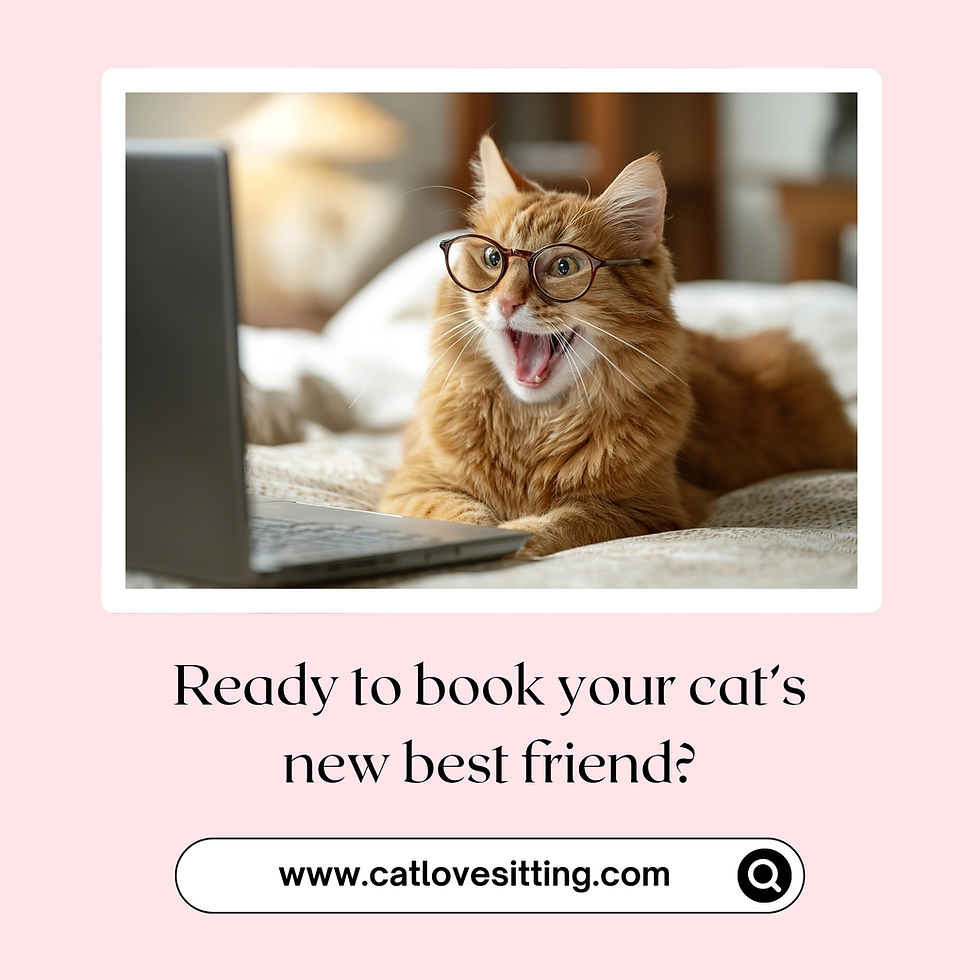 Cat Sitter in Bath - promotional image with ginger cat wearing glasses and booking link for Cat Love Sitting