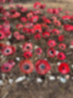 Ceramic "kalaniyot/red poppies", one for each person lost