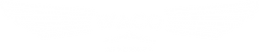 WACO_Aircraft_White.png