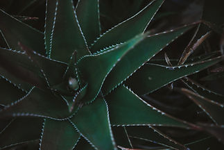 AdobeStock_189891533.jpeg