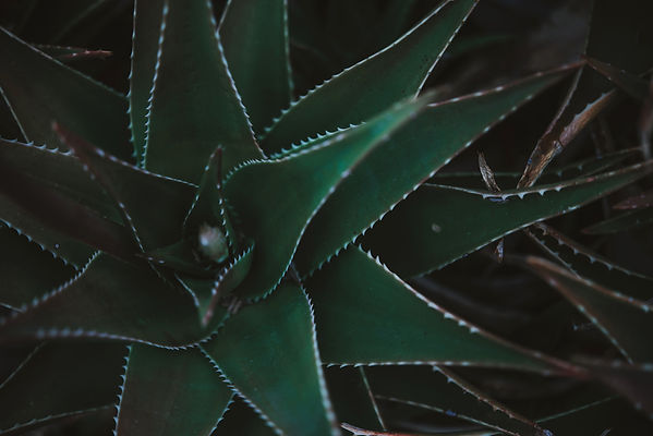 AdobeStock_189891533.jpeg