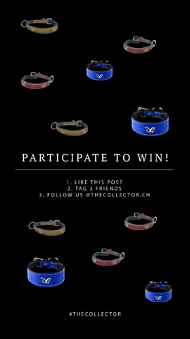 Animated GIF-downsized_large.gif