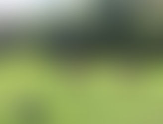 Activitats de cada unitat!