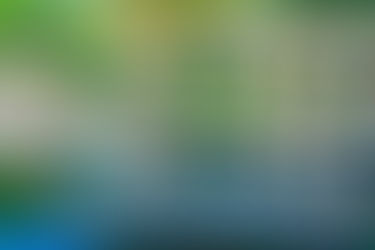 From Jungle Thrills to Luxury Chills: The Ultimate Karhandla Experience