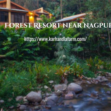 Wild Luxury Awaits: Explore Karhandla’s Jungle Safari, Luxe Stays & Unforgettable Fun with Friends!