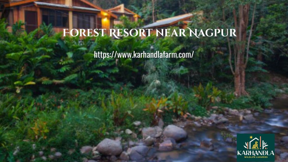 Wild Luxury Awaits: Explore Karhandla’s Jungle Safari, Luxe Stays & Unforgettable Fun with Friends!
