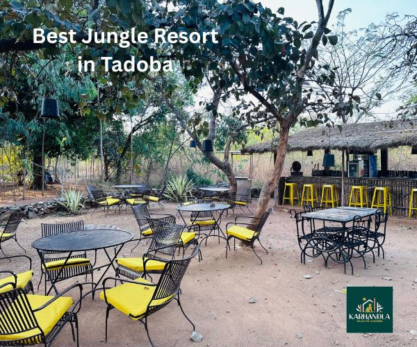 Escape to the Wild: Best Jungle Resort Near Andheri Tiger Reserve