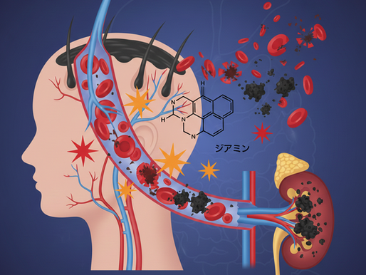 初めて聞いた溶血症という病