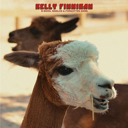 KELLY FINNIGAN