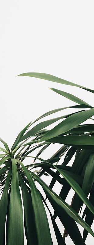Green Plants