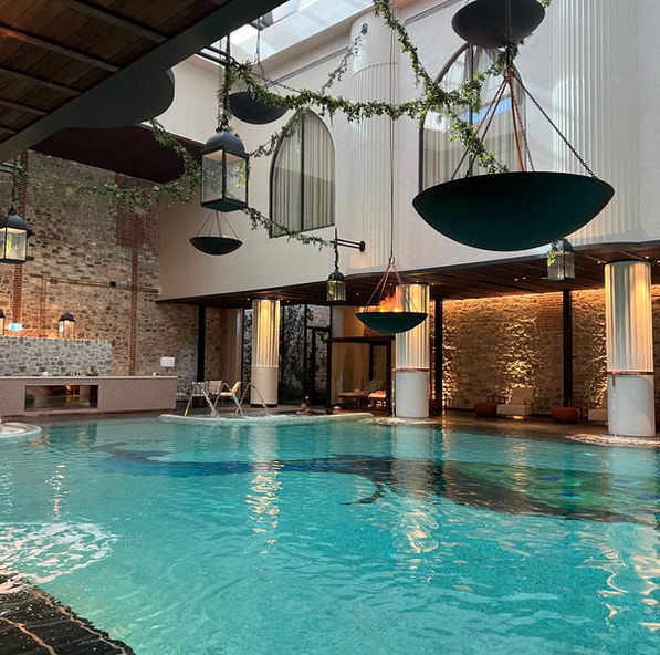 Aliée Hotel İstanbul - Pool
TDA architects, TDA mimarlık, havuz, Sarmaşık tavan , Yapaybitki uygulaması, luxuryspadesign, spa