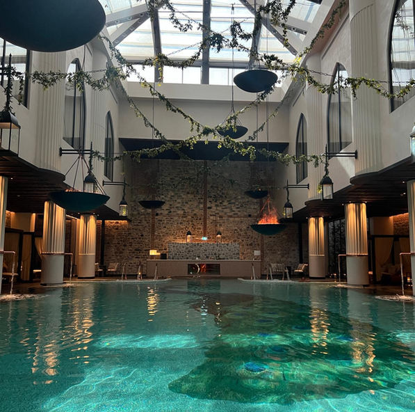 Aliée Hotel İstanbul - Pool
TDA architects, TDA mimarlık, havuz, Sarmaşık tavan , Yapaybitki uygulaması, luxuryspadesign