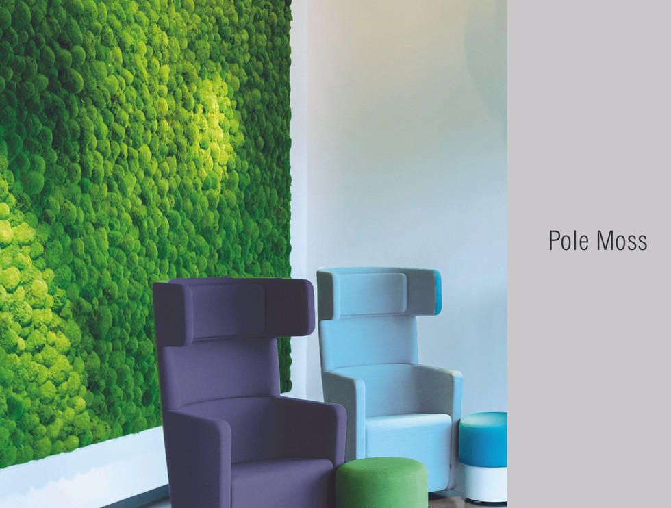 Catalogue1 | TDA architects