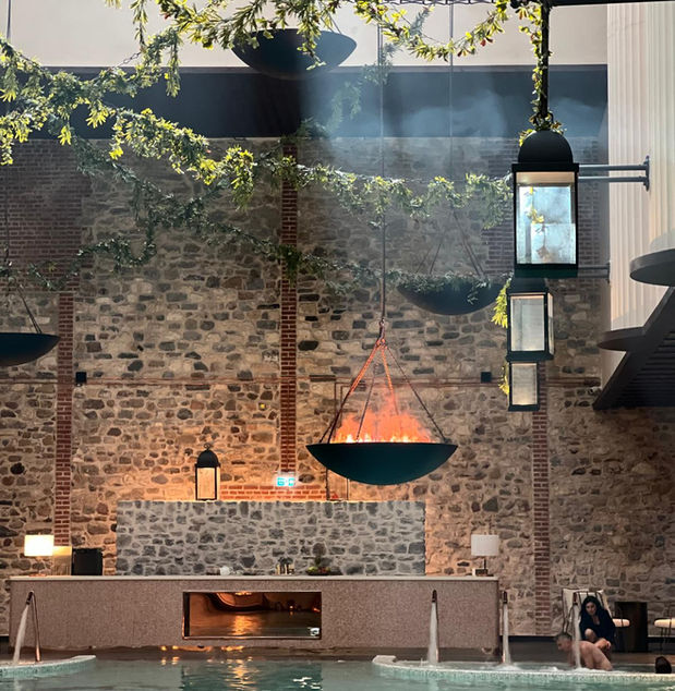 Aliée Hotel İstanbul - Pool
TDA architects, TDA mimarlık, havuz, Sarmaşık tavan , Yapaybitki uygulaması, luxuryspadesign
