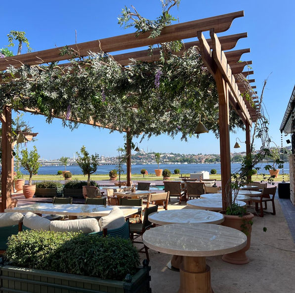 Aliée Hotel İstanbul - Pool Side Pergole Mor Salkım uygulaması
TDA architects, TDA mimarlık, havuz, Sarmaşık tavan , Yapaybitki Uygulaması, tda yapay, peyzaj proje