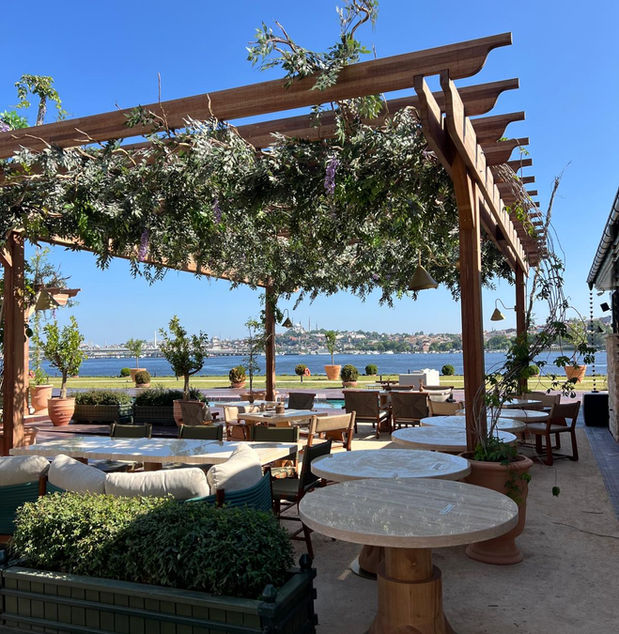 Aliée Hotel İstanbul - Pool Side Pergole Mor Salkım uygulaması
TDA architects, TDA mimarlık, havuz, Sarmaşık tavan , Yapaybitki Uygulaması, tda yapay, peyzaj proje