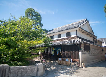 7R206235s-500x334.jpg
