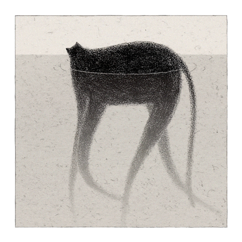 cat-walk.gif