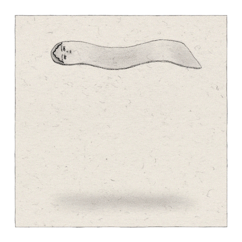 floating.gif