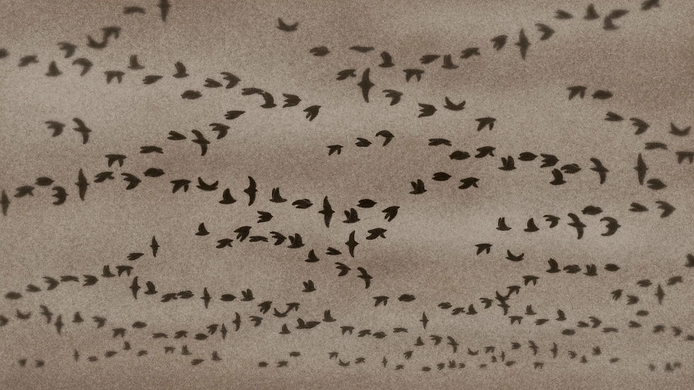 Day In My Dream - final.00_08_02_08.Still014.jpg