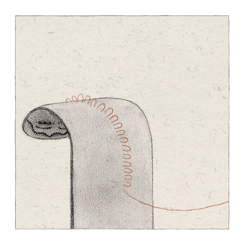 sewing_1_1.gif