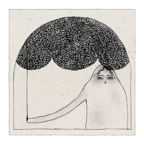 curtain.gif
