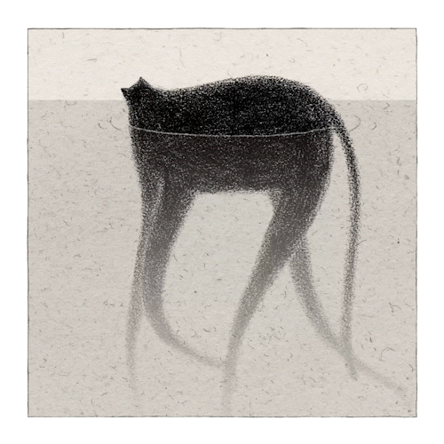 cat-walk_1_1.gif