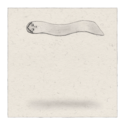 floating_1_1.gif