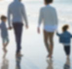 Basic Wills: Single £250 Mirror £350