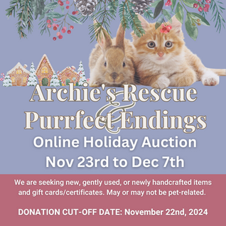 Holiday Auction Coming Soon!