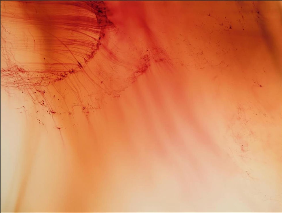 Wolfgang Tillmans - Urgency XVIII @centrepompidou.fr