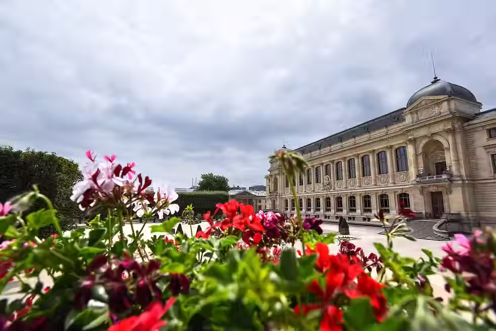 jardin des plantes