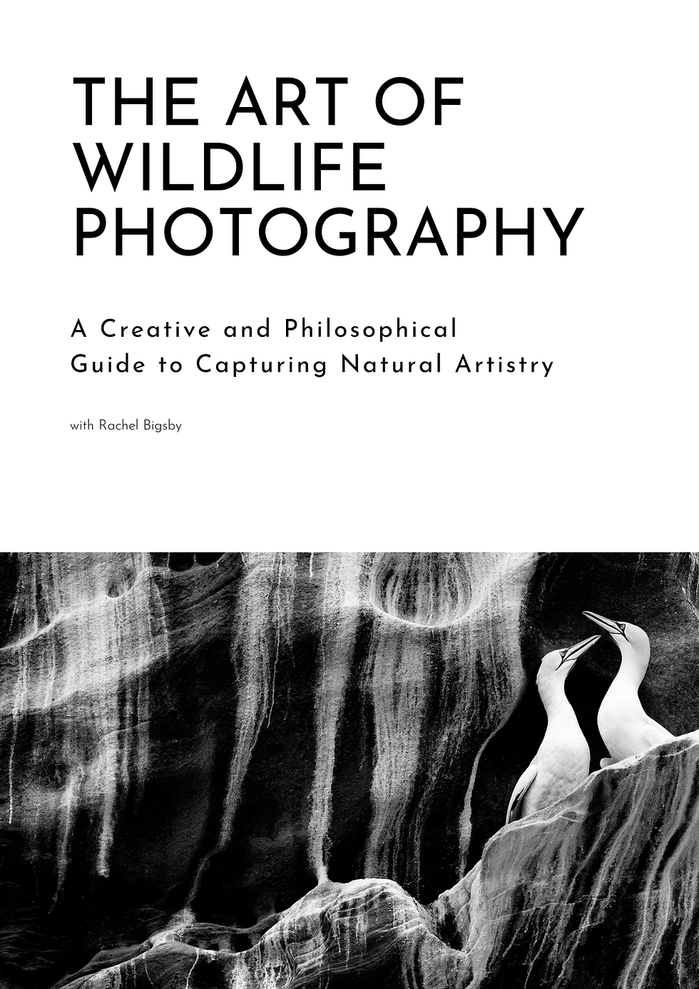 Thumbnail: The Art of Wildlife Photography EBook