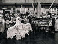 Rachel Bigsby Protests at Scottish Parliament To End Guga Hunt as Public Support Reaches Record Levels