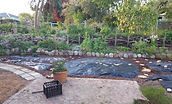 Still the lasagne method, nearly ready to cut a cross into the plastic, plant and then cover up with wood chips thickly