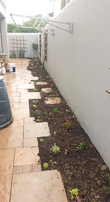 The other end view of the first photo, we catered for the washing line by adding steeping stones to stand on. Indigenous plants were mostly used.