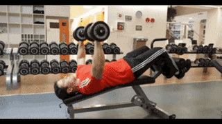 Bench Press: Bài tập đẩy tạ nằm làm săn chắc cơ bắp thân trên