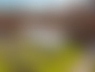 Kaplan Queen’s University Belfast Pathway: Sosyal ve Akademik Yaşam