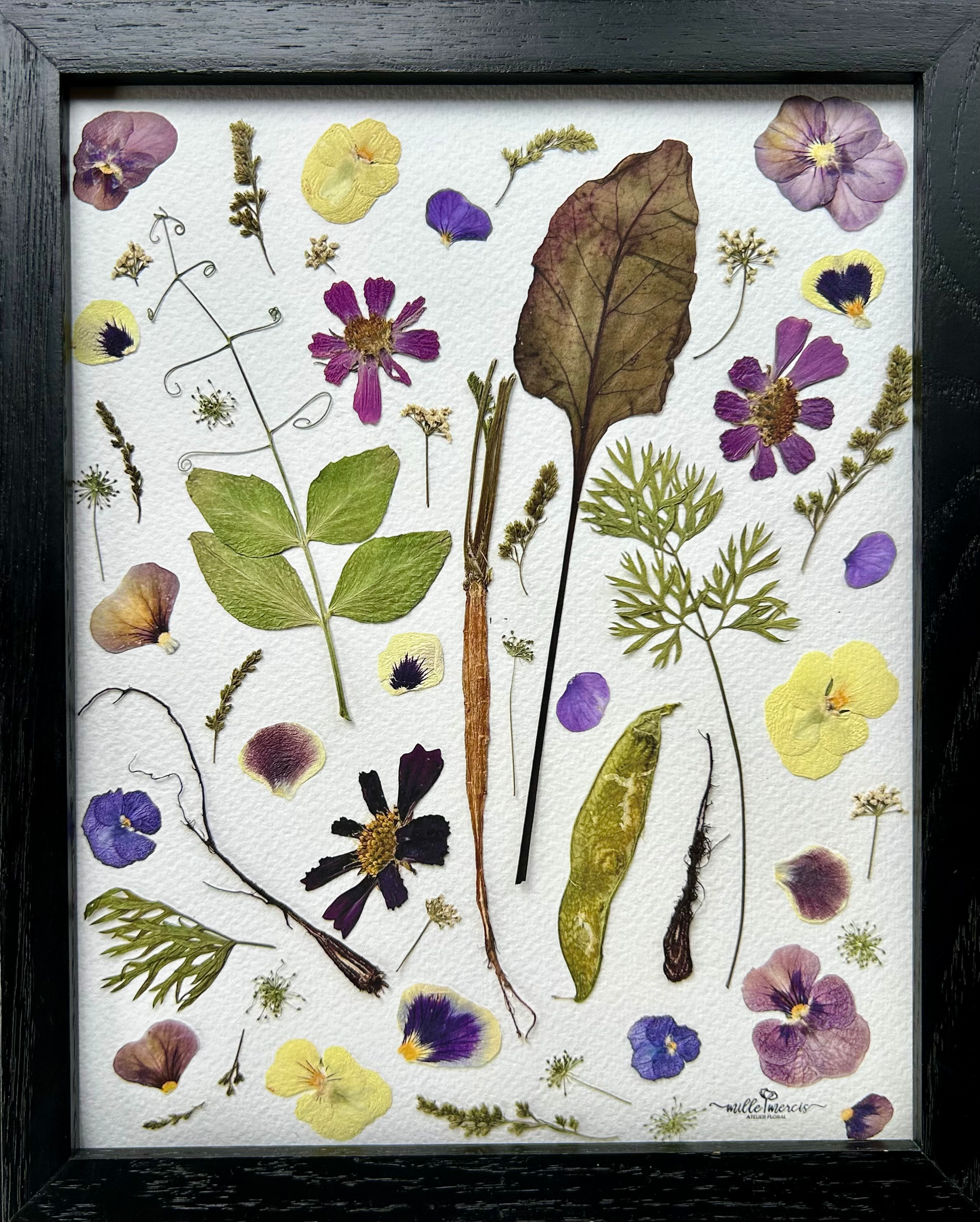 Dans mon jardin - Reproduction