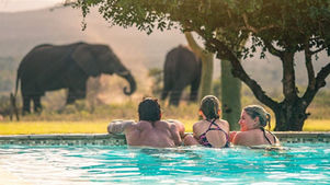 Family in pool with elephants in the background