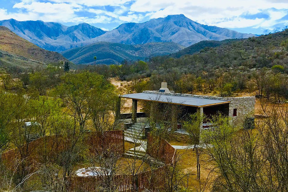 mbuys-accommodation-oudtshoorn-bush