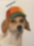 IMG_5434.PNG