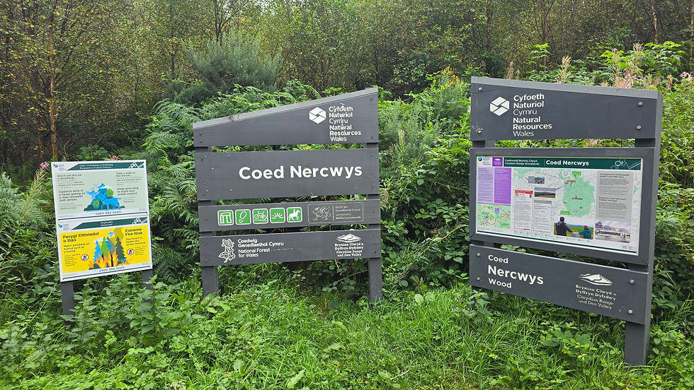 Coed Nercwys national forest sign