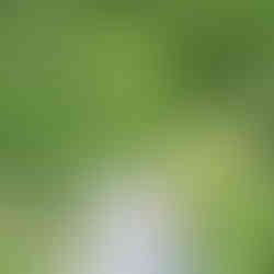 father and son riding bikes