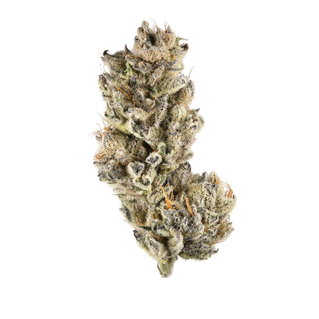 Purple Punch | Indica Dominant